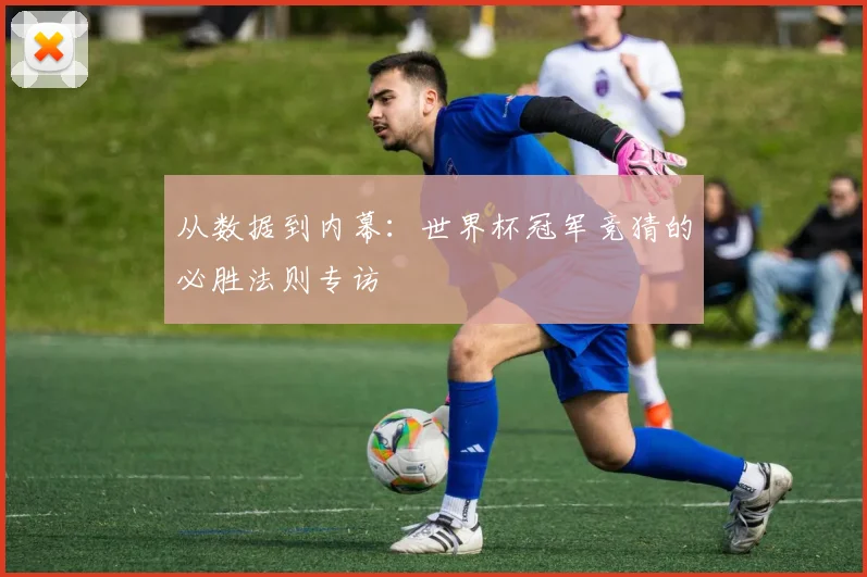 从数据到内幕：世界杯冠军竞猜的必胜法则专访